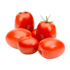 گوجه فرنگی